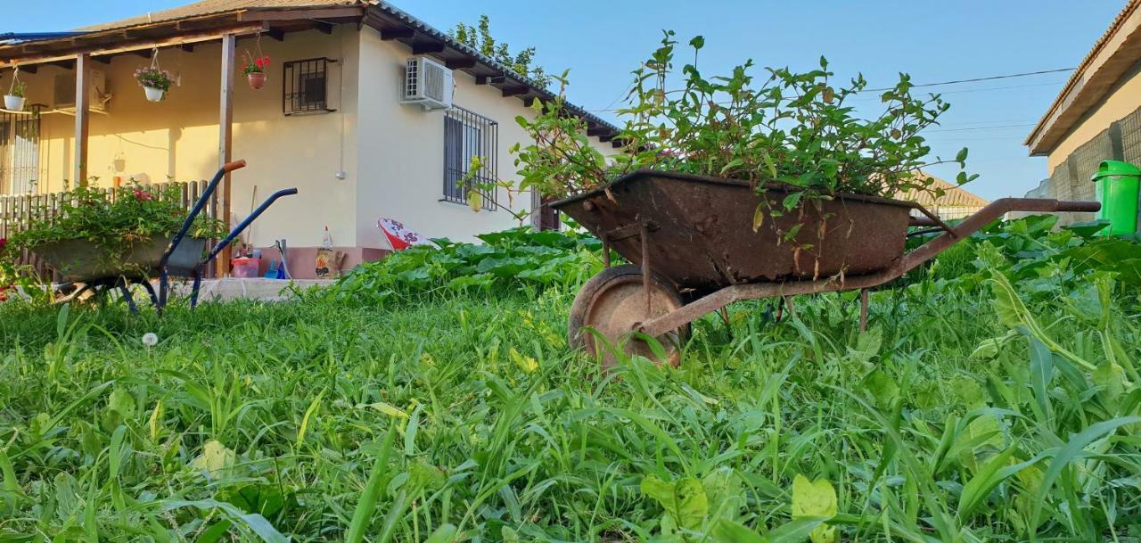 Casa Enka Hotel Tuzla Bagian luar foto